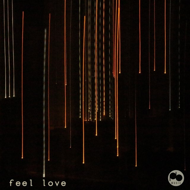 Couverture de Feel Love