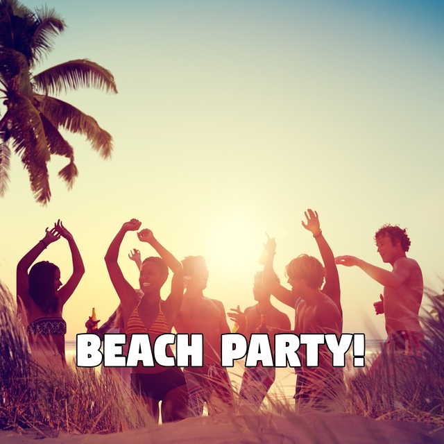 Couverture de Beach Party!