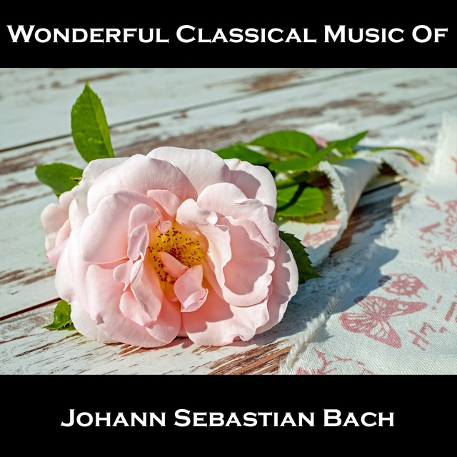 Couverture de Wonderful Classical Music Of Johann Sebastian Bach