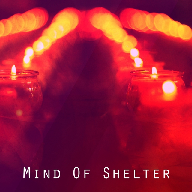 Couverture de Mind Of Shelter