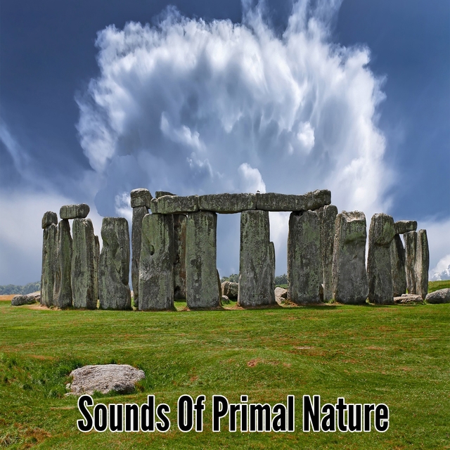 Couverture de Sounds Of Primal Nature