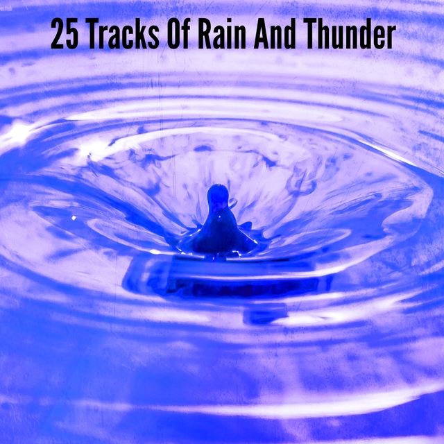 Couverture de 25 Tracks Of Rain And Thunder
