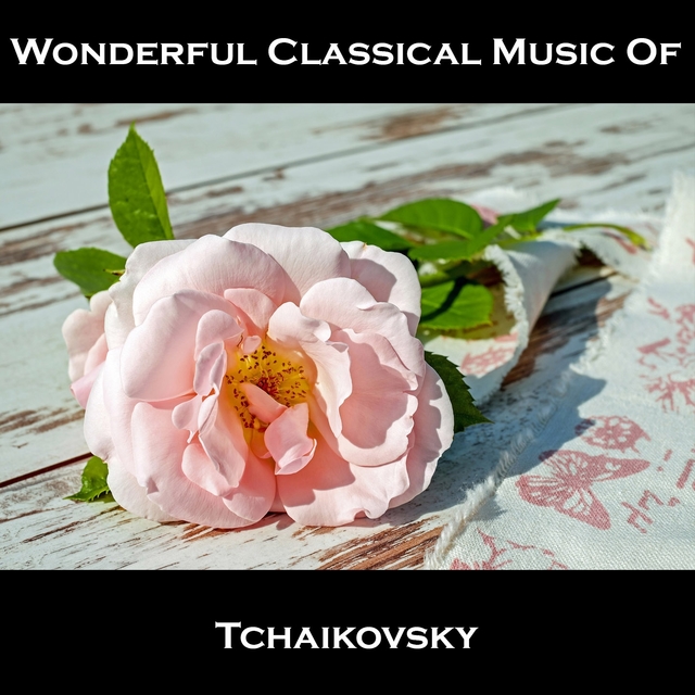 Couverture de Wonderful Classical Music Of Tchaikovsky