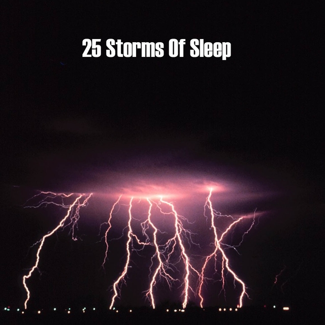 Couverture de 25 Storms Of Sleep