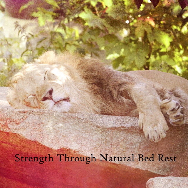 Couverture de Strength Through Natural Bed Rest