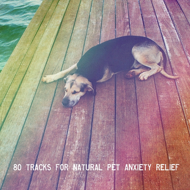 Couverture de 80 Tracks For Natural Pet Anxiety Relief