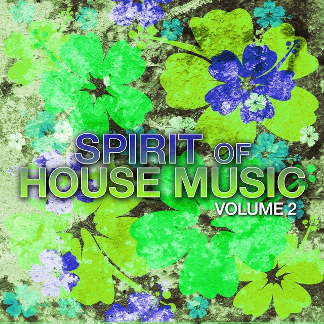 Couverture de Spirit of House Music, Vol. 2