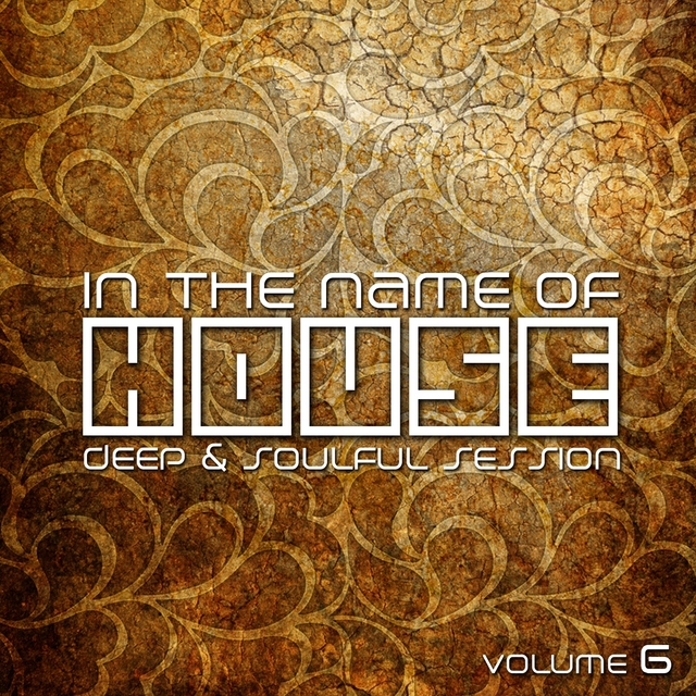 In the Name of House, Vol. 6