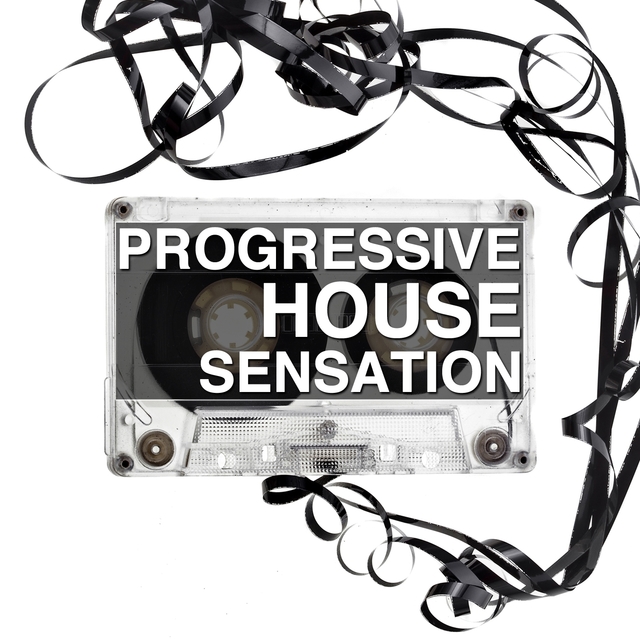 Couverture de Progressive House Sensation