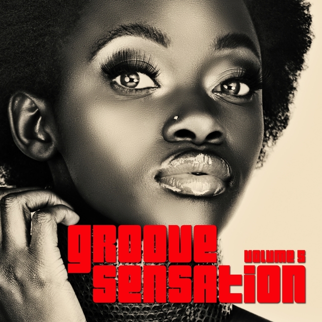 Couverture de Groove Sensation, Vol. 5