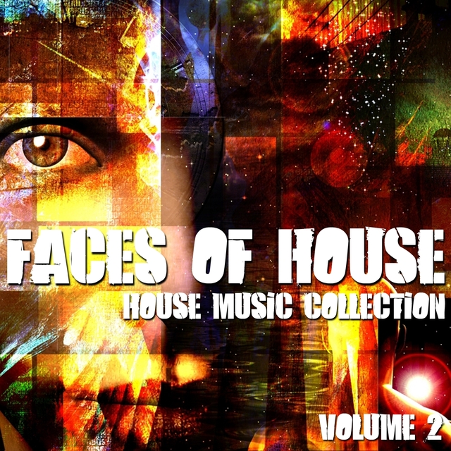 Couverture de Faces of House