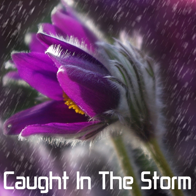 Caught In The Storm