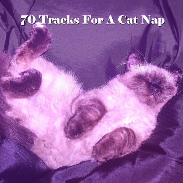 Couverture de 70 Tracks For A Cat Nap