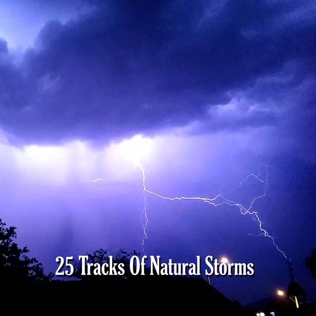 Couverture de 25 Tracks Of Natural Storms