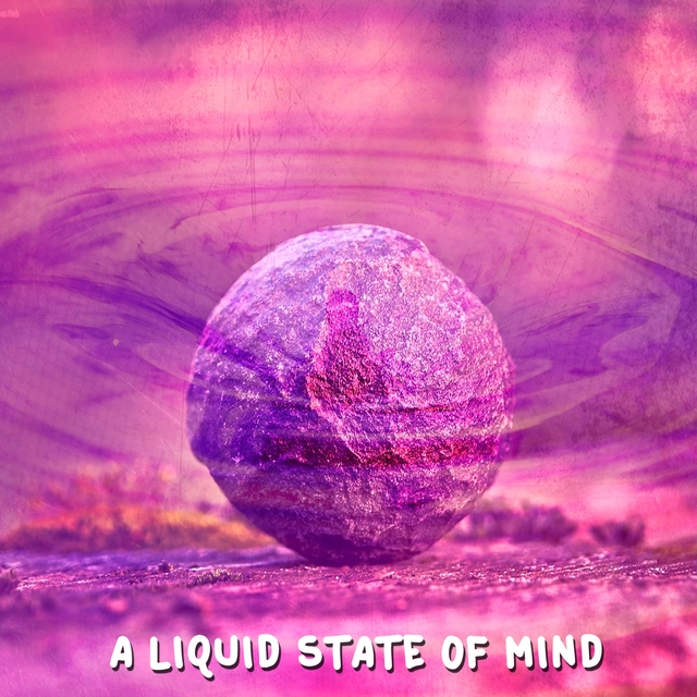 Couverture de A Liquid State Of Mind