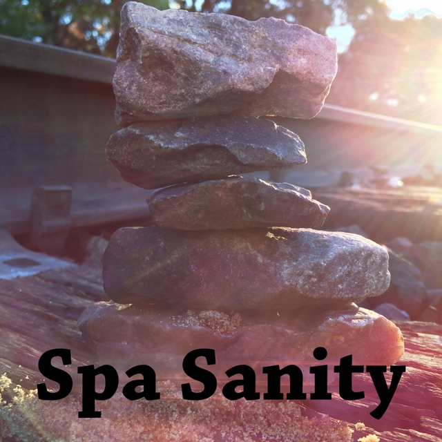 Couverture de Spa Sanity