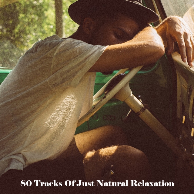 Couverture de 80 Tracks Of Just Natural Relaxation