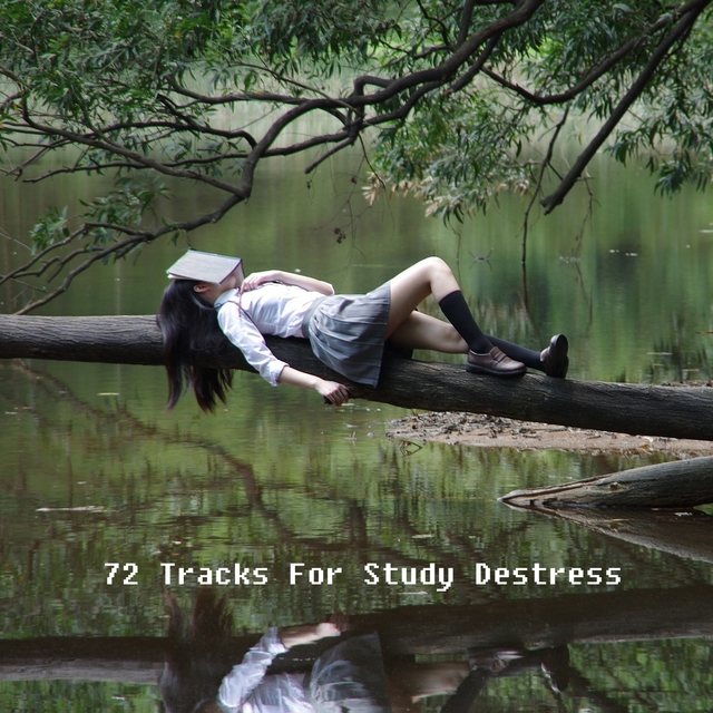 Couverture de 72 Tracks For Study Destress