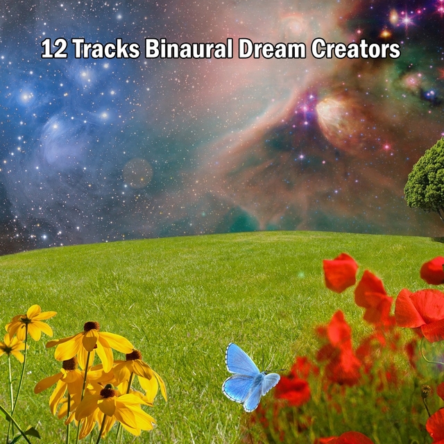 12 Tracks Binaural Dream Creators