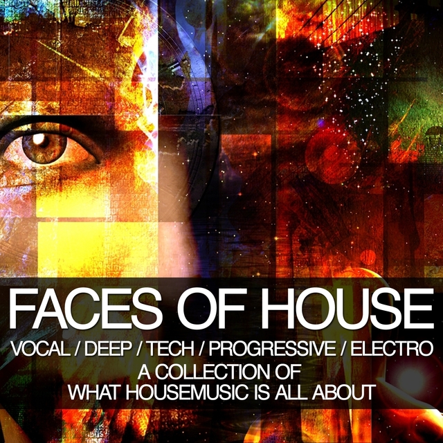 Couverture de Faces of House