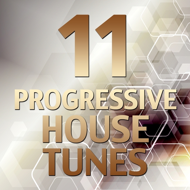 Couverture de 11 Progressive House Tunes