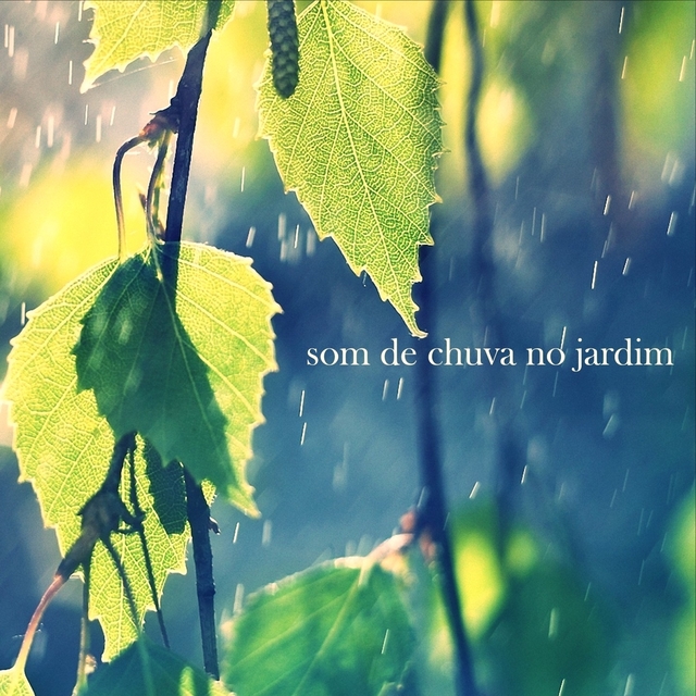 Som de Chuva no Jardim