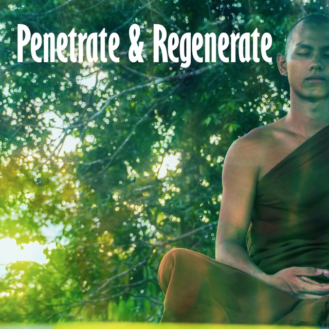 Couverture de Penetrate & Regenerate