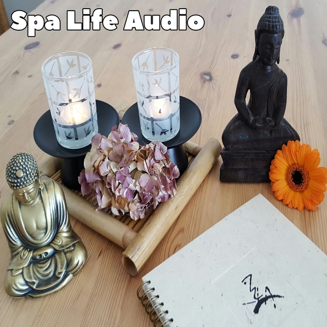 Couverture de Spa Life Audio