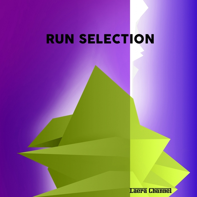 Couverture de Run Selection