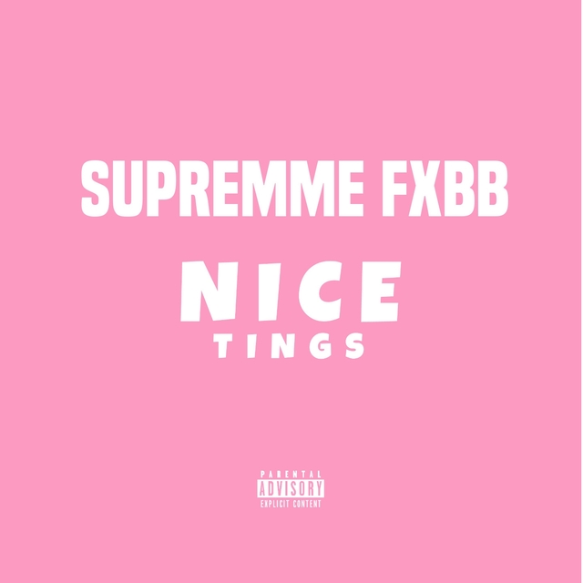 Couverture de Nice Tings