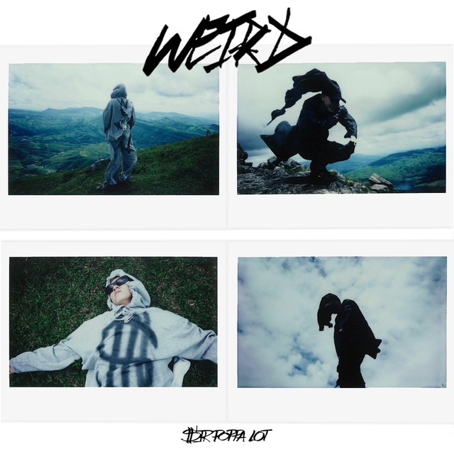 Couverture de Weird