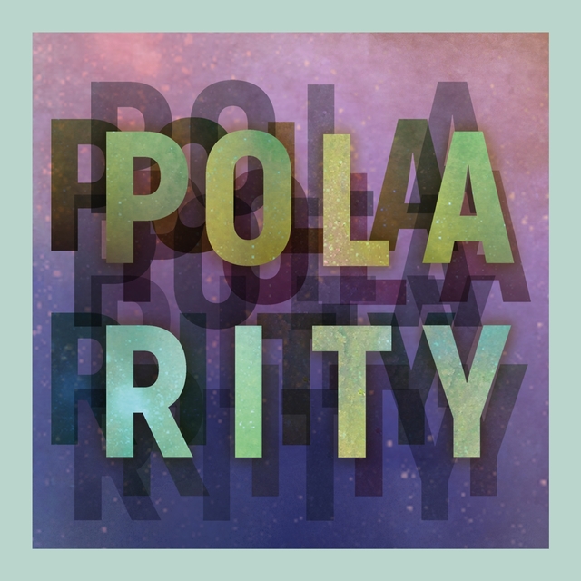 Couverture de Polarity