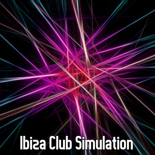 Couverture de Ibiza Club Simulation