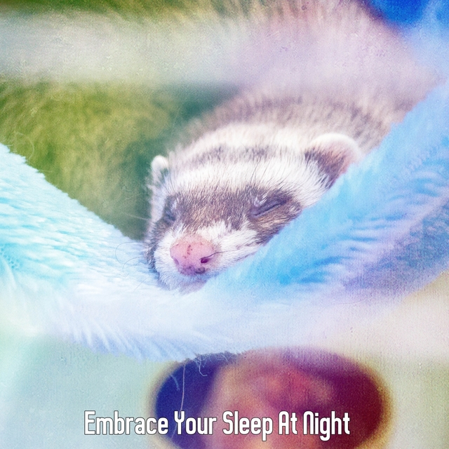 Couverture de Embrace Your Sleep At Night