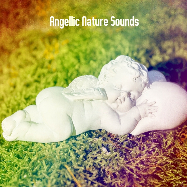 Couverture de Angellic Nature Sounds