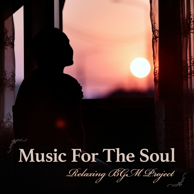 Couverture de Music for the Soul