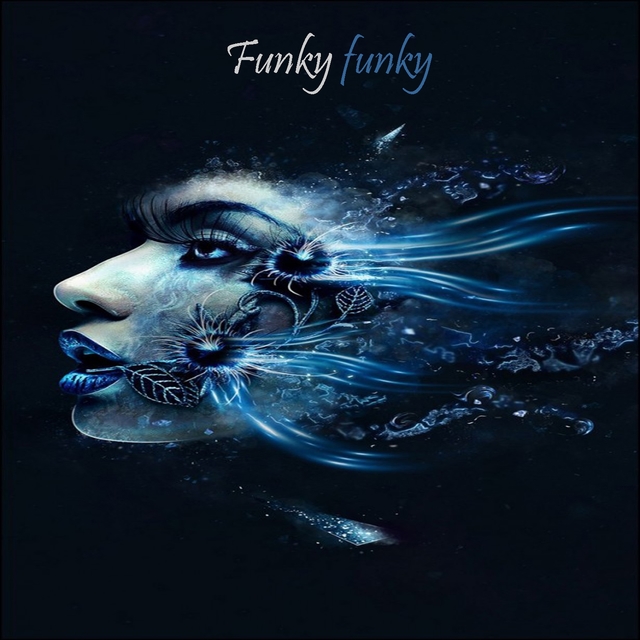 Couverture de Funky Funky