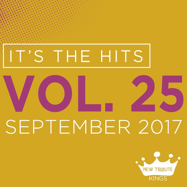 Couverture de It's the Hits! 2017, Vol.25