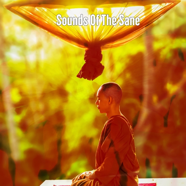 Couverture de Sounds Of The Sane