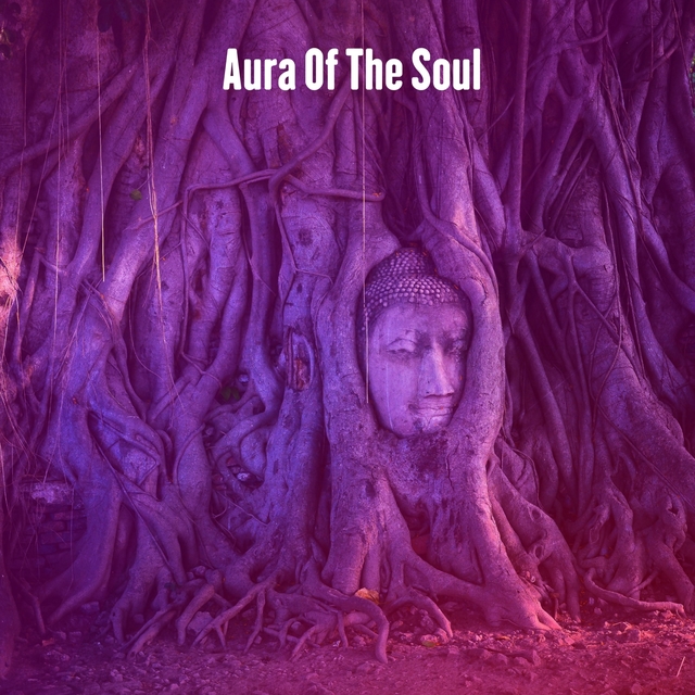 Aura Of The Soul