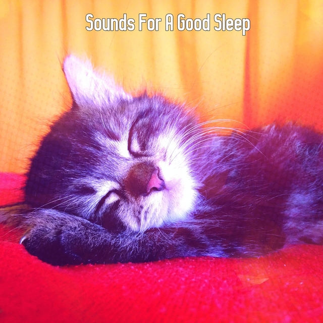 Couverture de Sounds For A Good Sleep