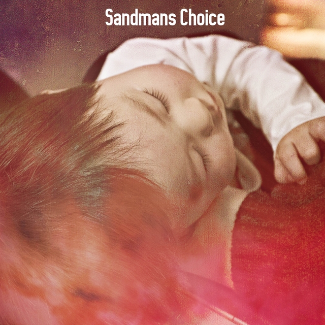 Couverture de Sandmans Choice