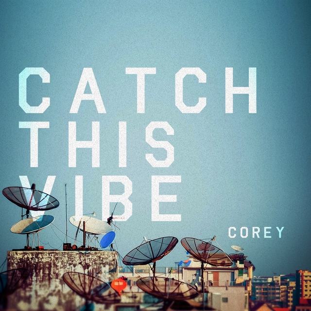 Couverture de Catch This Vibe