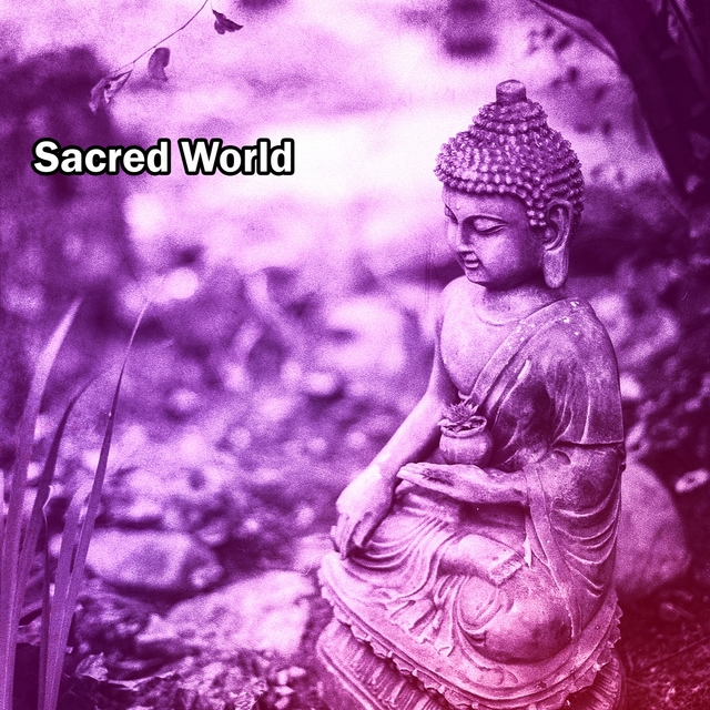 Couverture de Sacred World