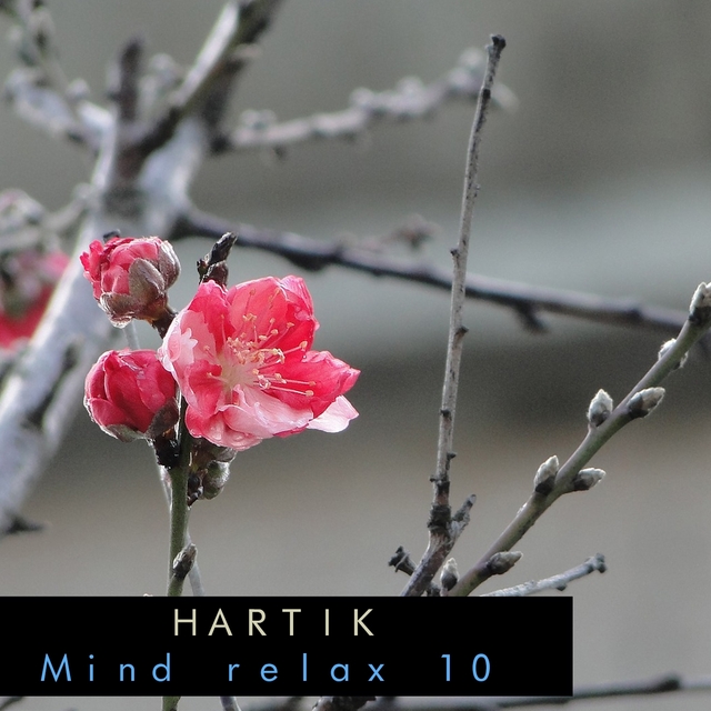 Mind relax 10