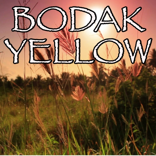 Bodak Yellow (Money Moves) - Tribute to Cardi B