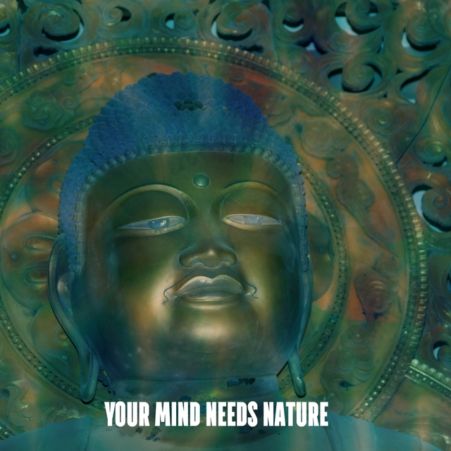 Couverture de Your Mind Needs Nature