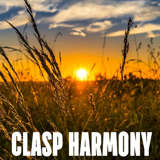 Couverture de Clasp Harmony