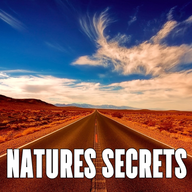 Couverture de Natures Secrets