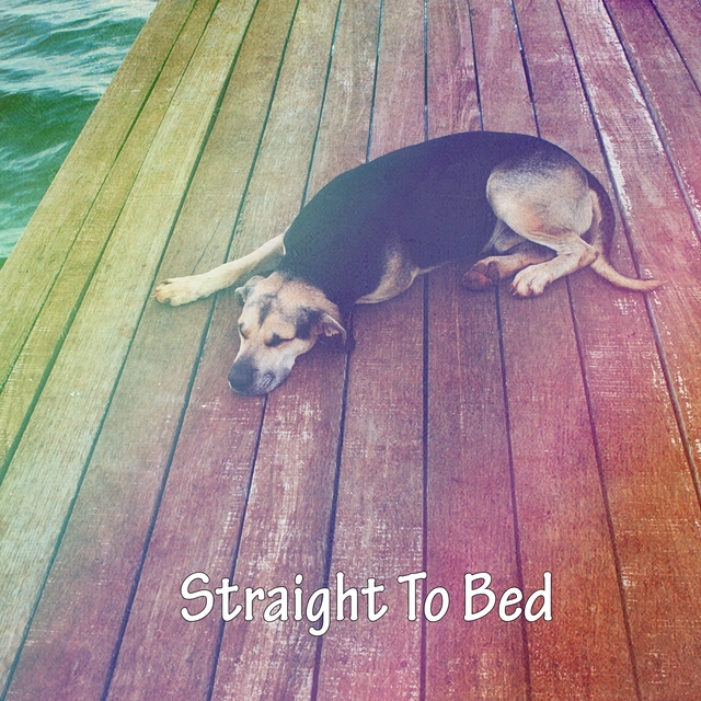 Couverture de Straight To Bed